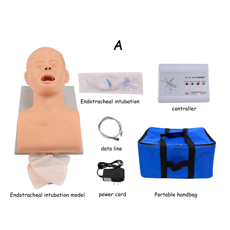 Lehrmodell für Entubationspupp – Medical Lab Management Bewertung und Preis