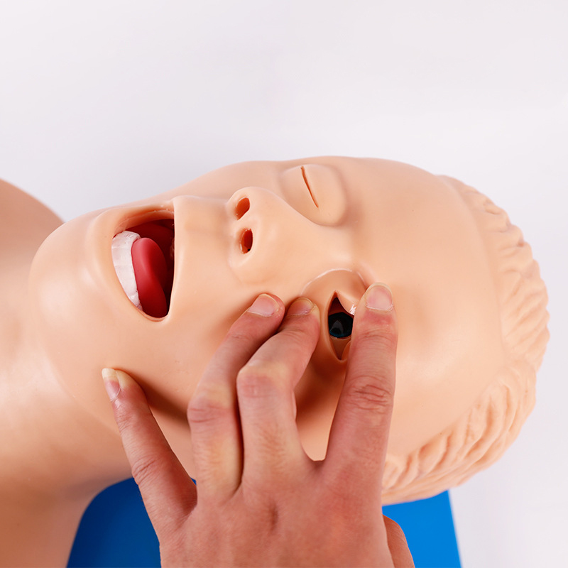 Lehrmodell für Entubationspupp – Medical Lab Management Bewertung und Preis